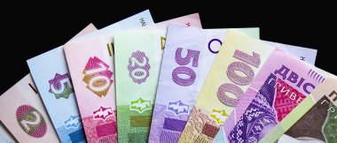 Ukrayna para birimi yakın çekim