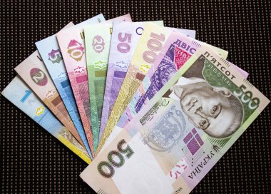 Ukrayna para birimi yakın çekim