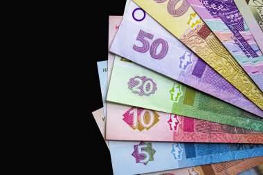 Ukrayna para birimi yakın çekim