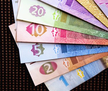 Ukrayna para birimi yakın çekim