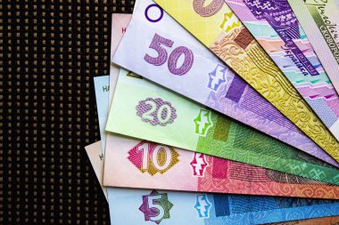 Ukrayna para birimi yakın çekim