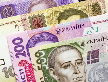 Ukrayna para birimi yakın çekim