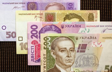 Ukrayna para birimi yakın çekim