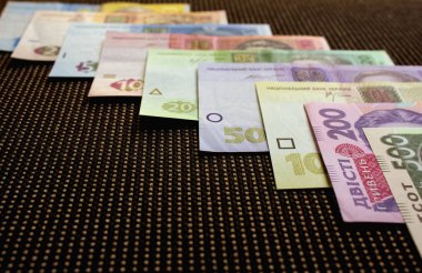 Ukrayna para birimi yakın çekim