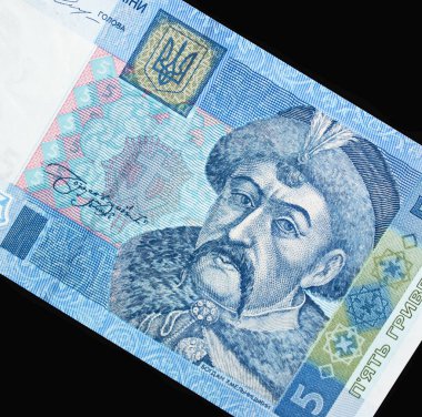 Ukrayna para birimi yakın çekim