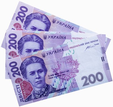 Ukrayna para birimi yakın çekim
