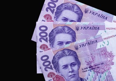 Ukrayna para birimi yakın çekim