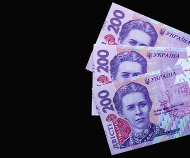 Ukrayna para birimi yakın çekim