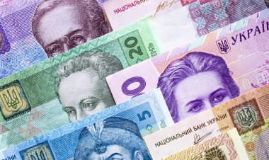 Ukrayna para birimi yakın çekim