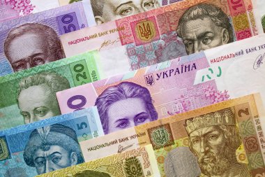 Ukrayna para birimi yakın çekim