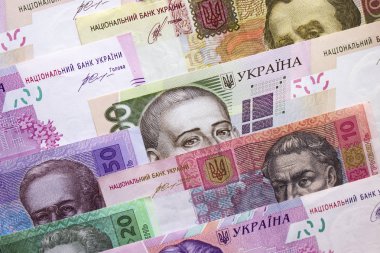 Ukrayna para birimi yakın çekim