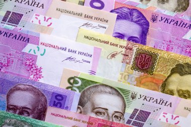 Ukrayna para birimi yakın çekim
