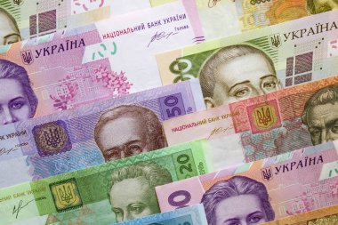 Ukrayna para birimi yakın çekim