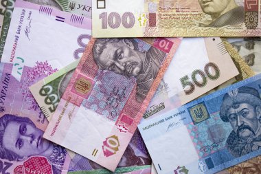 Ukrayna para birimi yakın çekim