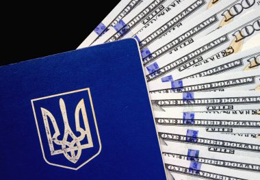 Amerikan Doları ve Ukrayna pasaportu