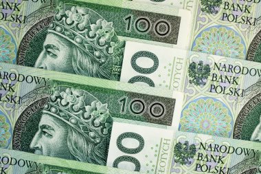 Polonya Zlotisi ulusal para birimi