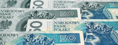 Polonya Zlotisi ulusal para birimi