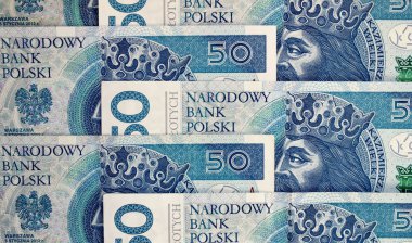 Polonya Zlotisi ulusal para birimi