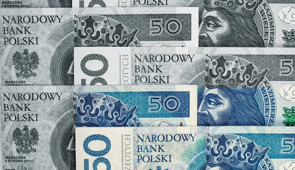 Lengyel Zloty Nemzeti Valuta — Stock Fotó