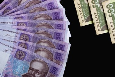 Ukrayna para birimi yakın çekim