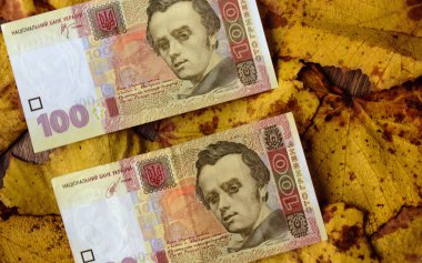 Ukrayna para birimi yakın çekim