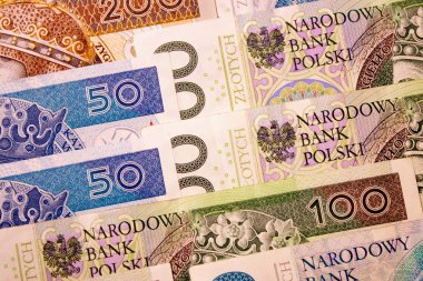 Polonya Zlotisi yakın çekim