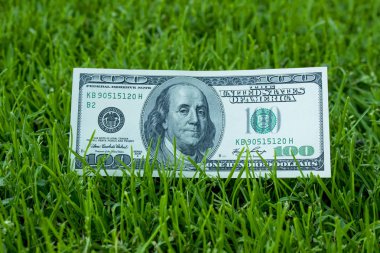 Amerikan dolar yakın çekim