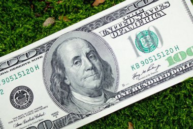 Amerikan dolar yakın çekim