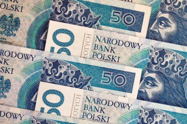 Polonya Zlotisi ulusal para birimi