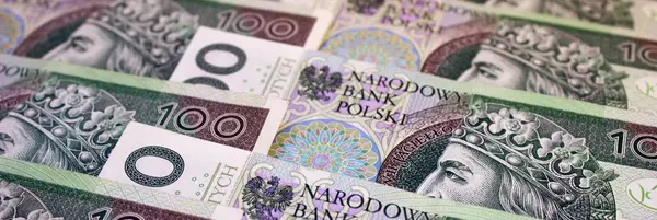 Polska Zloty Nationell Valuta — Stockfoto