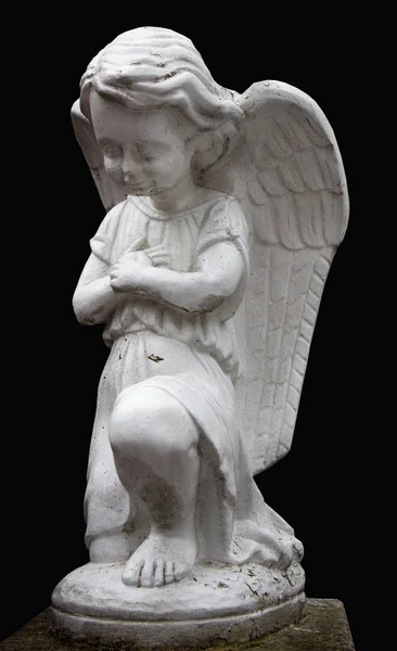 Статуя Маленького Ангела Молящегося Коленях — стоковое фото