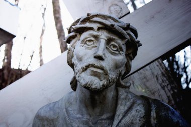 İsa'nın yüzü. Ağrı, acı, yol