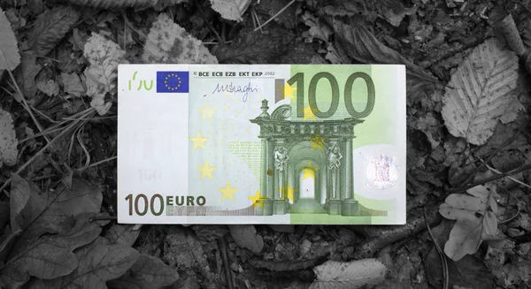Európa Pénzneme Euró Pénz Bezárul — Stock Fotó
