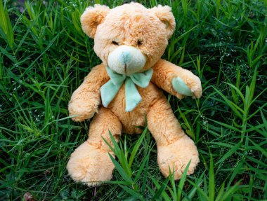 Ormandaki oyuncak ayı. Yalnızlığın ve çocukluğun sembolü