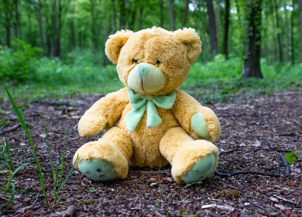 Teddy bear in the forest. Symbol of loneliness and childhood