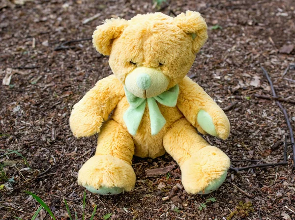 Teddy bear in the forest. Symbol of loneliness and childhood
