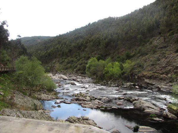 Paisagem ayık o Rio Paiva, sakin e sereno