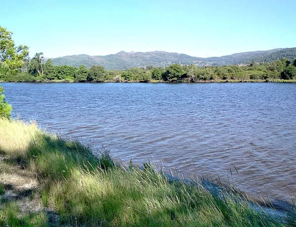 Margens Rio Lima — Foto de Stock