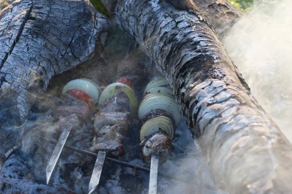 Delicious kebab of lamb, onions and tomatoes fried on coals in the smoke — Stock Photo, Image