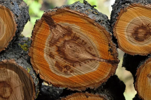 Grumes de bois empilées pour maintenir un feu parfumé dans la cheminée — Photo