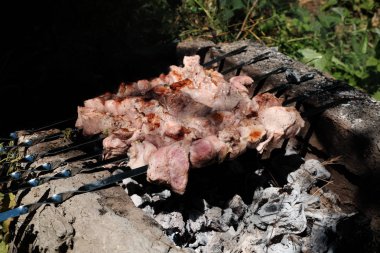 Ülke şiş üzerine et ile mangal doğaçlama
