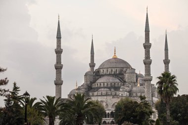 İstanbul'da Süleymaniye Camii'nde palmiye ağaçları ön planda. Bulutlu hava.