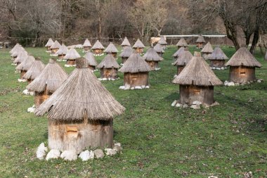 Bal toplamak için birçok kovan ile dağlarda Apiary. Saf dağ balı üretimi. Seçici odaklama.