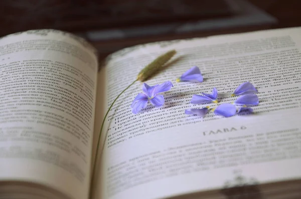 Open book with flower petals