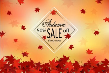 Sonbahar satış arka plan, kırmızı akçaağaç yaprakları, metin etiketi vektör
