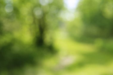 Yaz veya bahar manzara bulanık