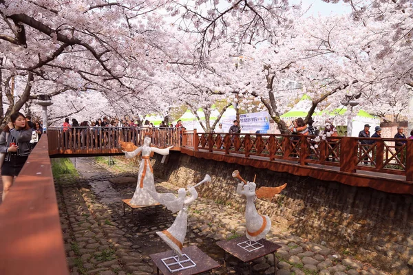 Jinhae Corée Mars 2019 Fête Fleur Cerisier Yeojwacheon Stream — Photo