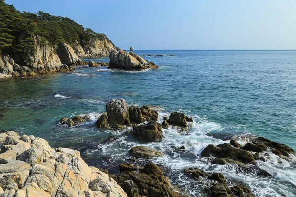 Güzel deniz manzarası. Primorye sahili, Rusya / Gamow Yarımadası
