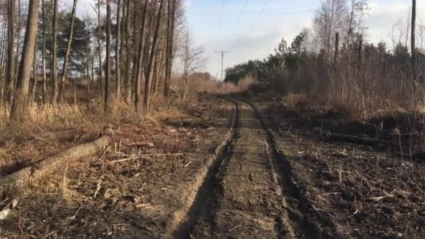 Route Boueuse Dans Forêt Traces Roues Voiture — Video