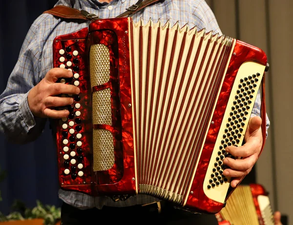 Ember Játszik Harmonika Játszott Harmonika Láthatjuk Sok Gomb Egy Vezető — Stock Fotó